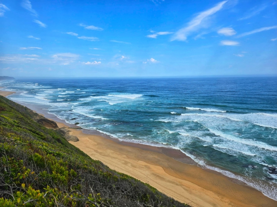 Commercial Property for Sale in Wilderness Central Western Cape